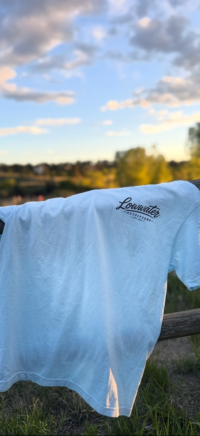 Ducks Tee