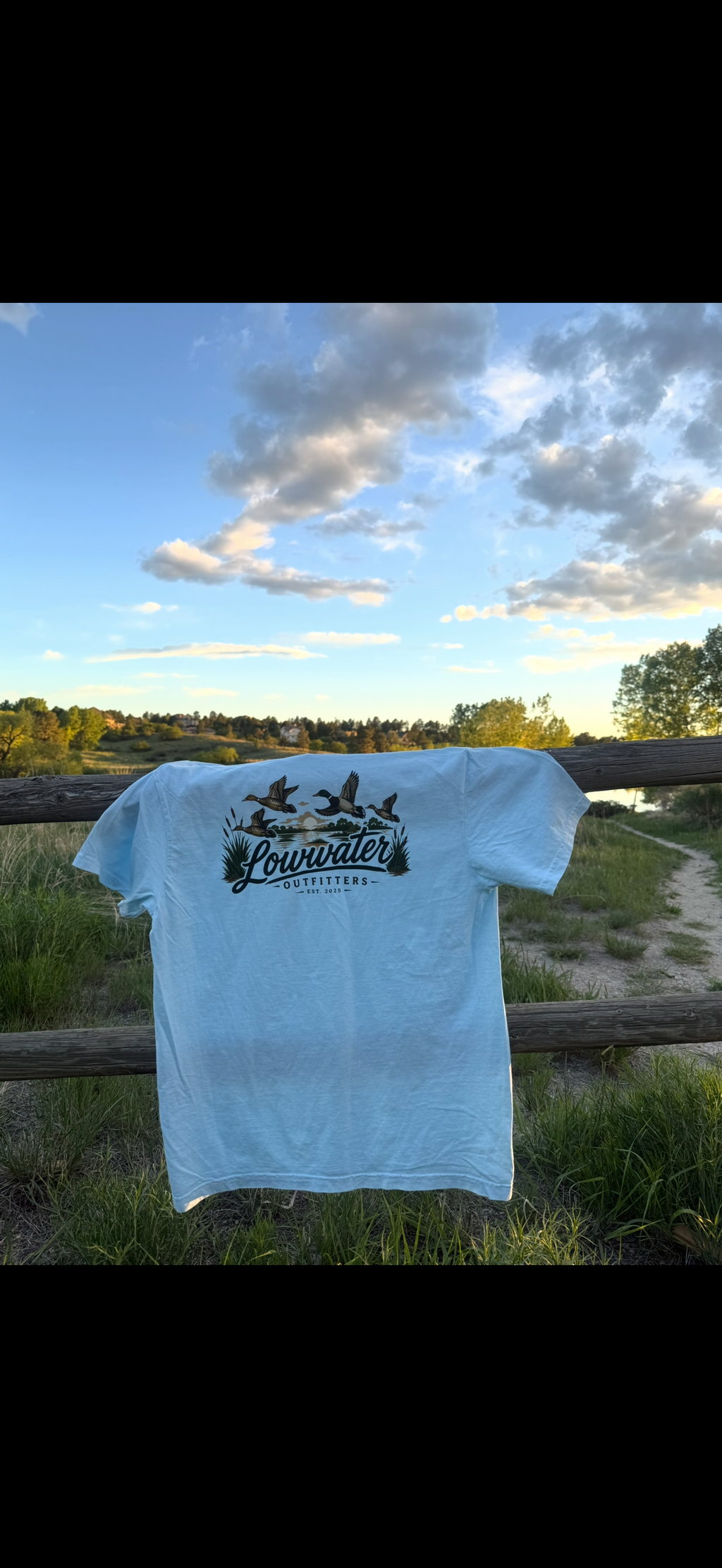 Ducks Tee