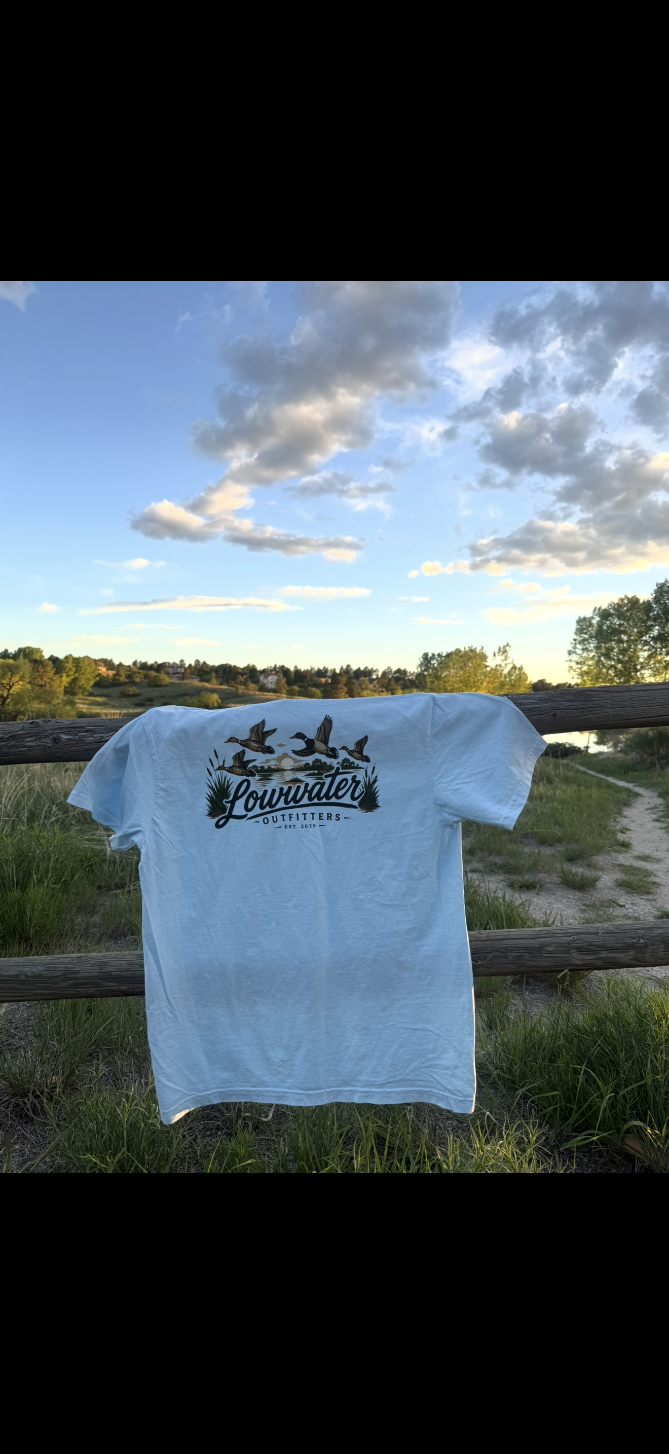 Ducks Tee